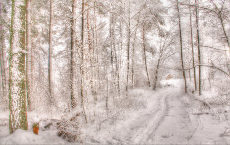 зимний пейзаж