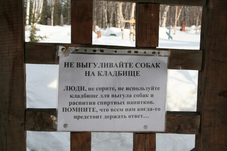 жмурики против