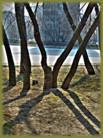 Весна - тени