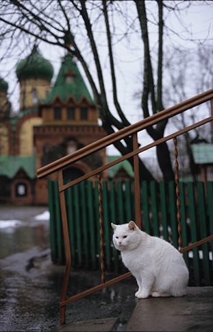 не я, но душа моя