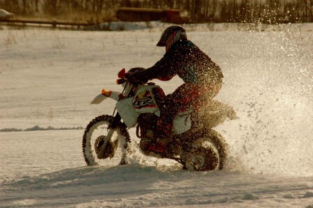 Зимой и летом одним цветом...