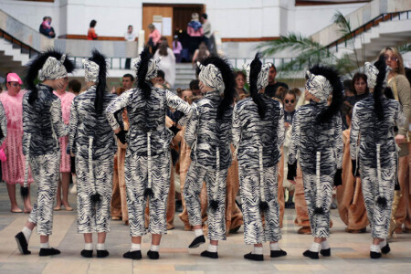 Zebra Style
