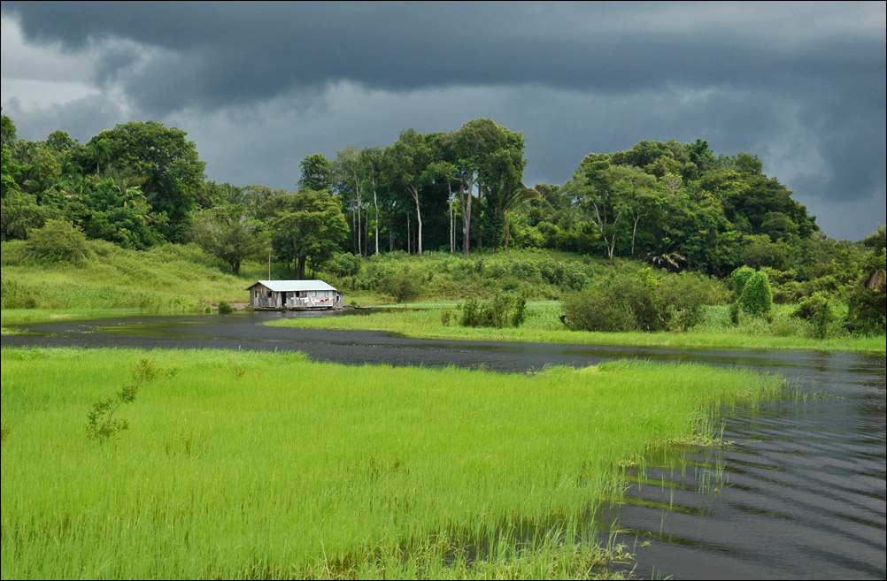 Colors of Amazon 