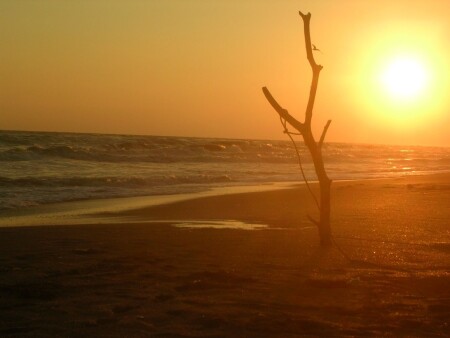 вечерний пляж