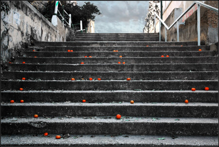 mandarines