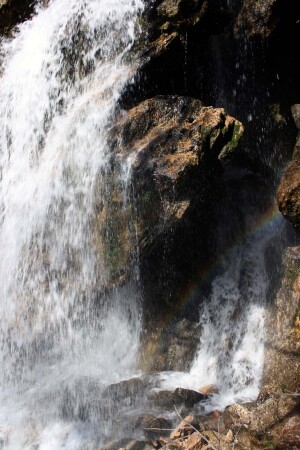 водная феерия
