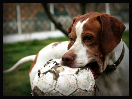 Построились?!