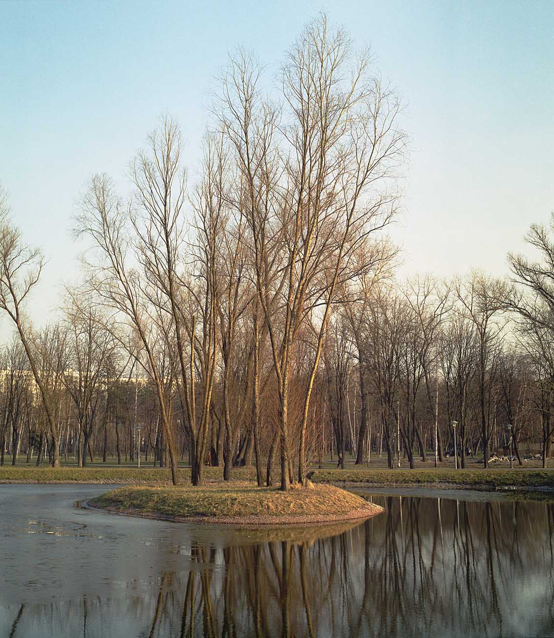 Последний лед