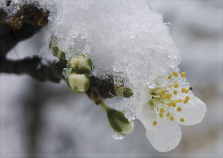 Холодным по живому