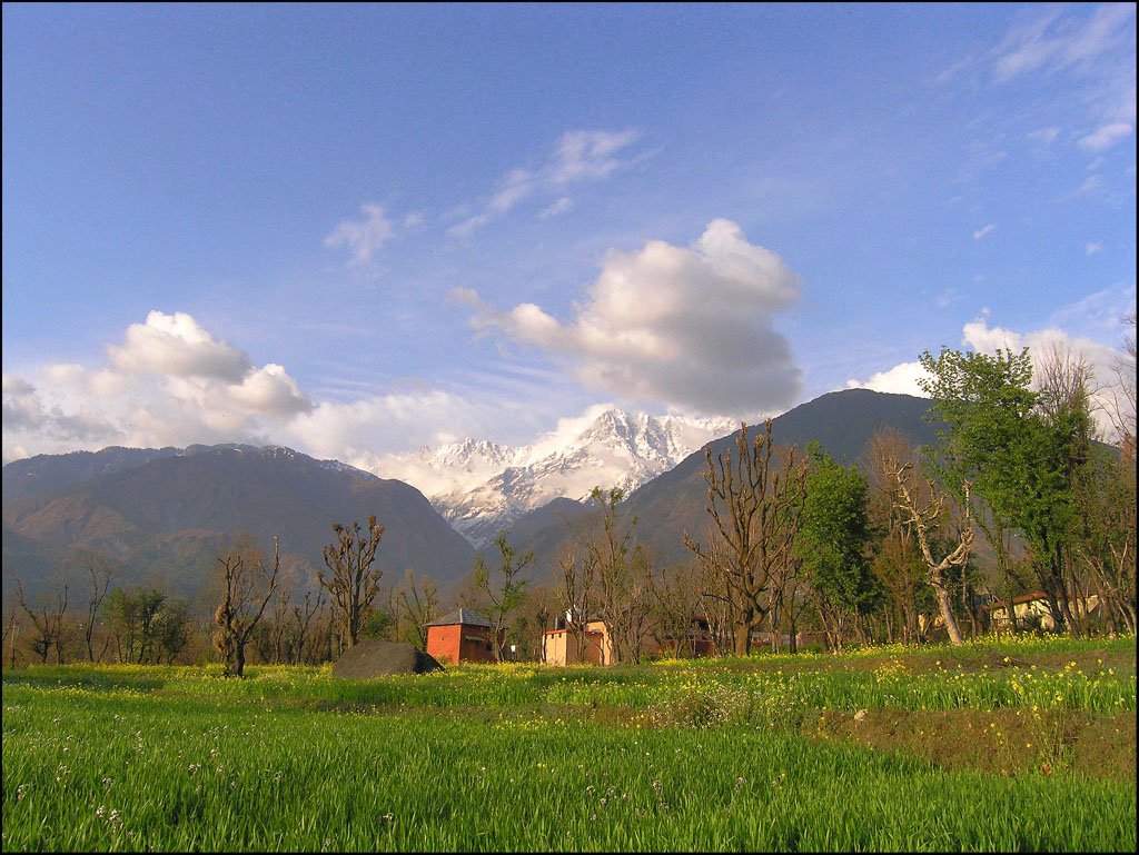 The view from Norbulingka