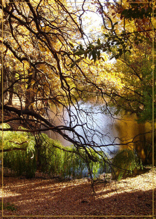 что такое осень....