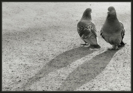 - Ты меня любишь? - Аха...