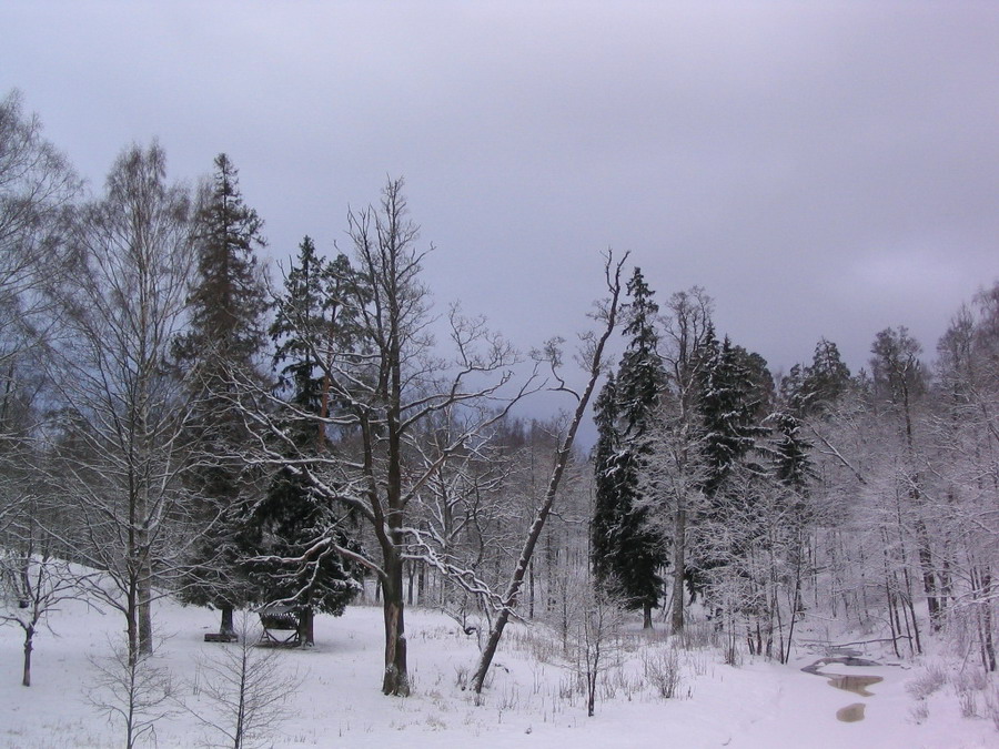 Ориенбаум