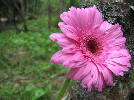 настроение