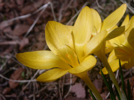 В жаркий день хочется пить...