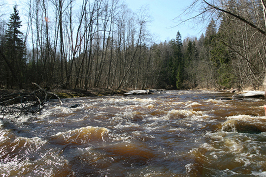 Река Амата