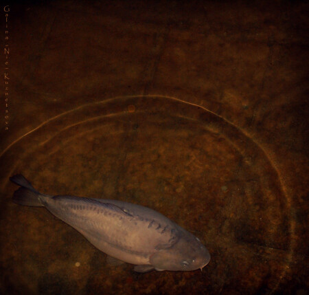 одиночество..