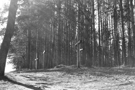 кресты вдоль дороги