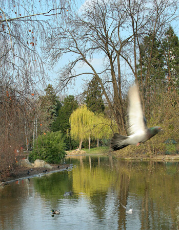 Уже весна 2007