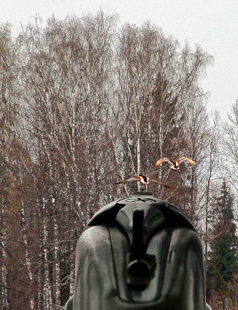 Летять у-у-утки-и-и-и!!!