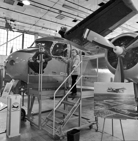 Мечтая летать [...на честном слове и на одном крыле...]