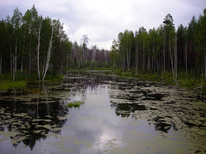 река Крутиха
