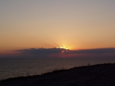 Солнце, море и ... трава