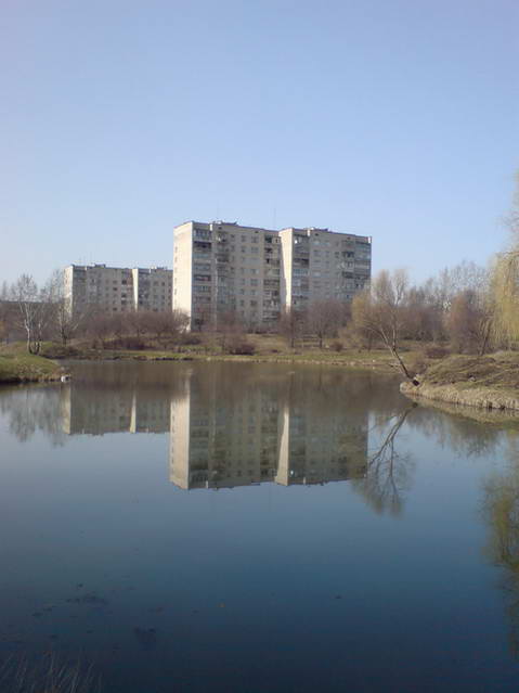 Mirror of nature soul