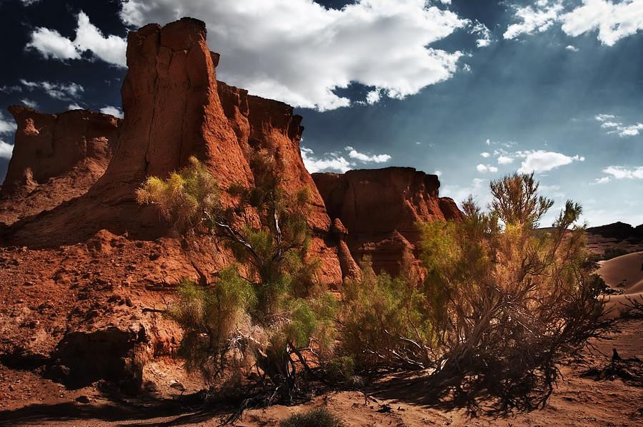 Red Canyon-2