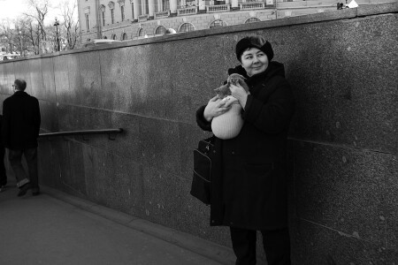Купите, не пожалеете