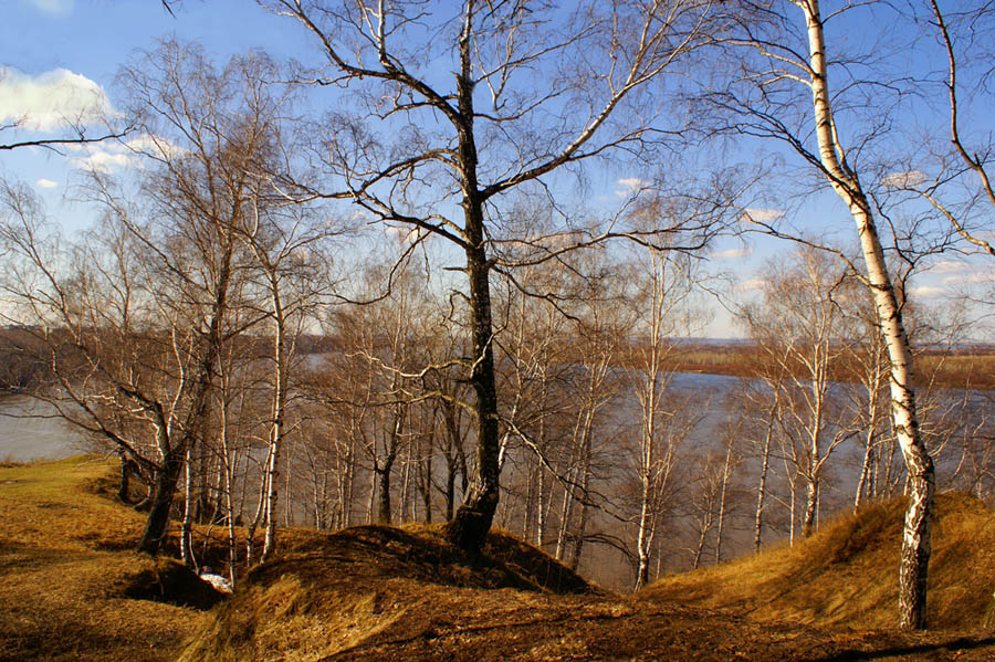 прозрачность