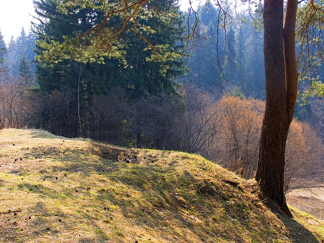Ранняя весна