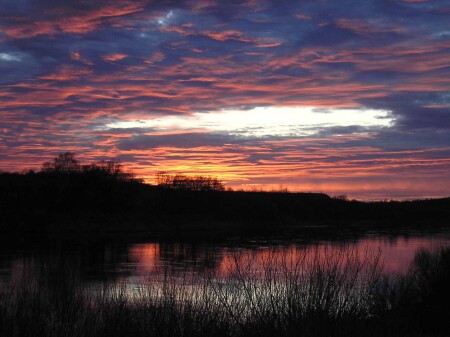 Вот и весна...