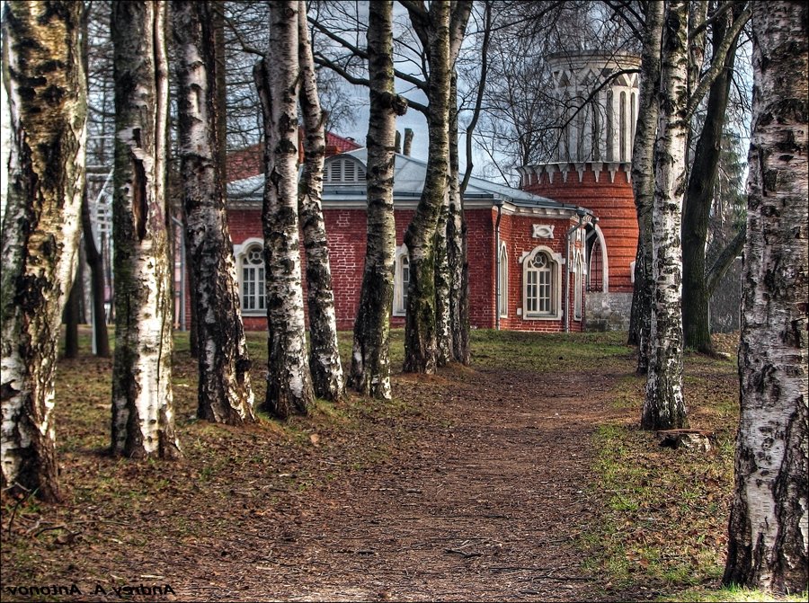 Аллеей старого парка