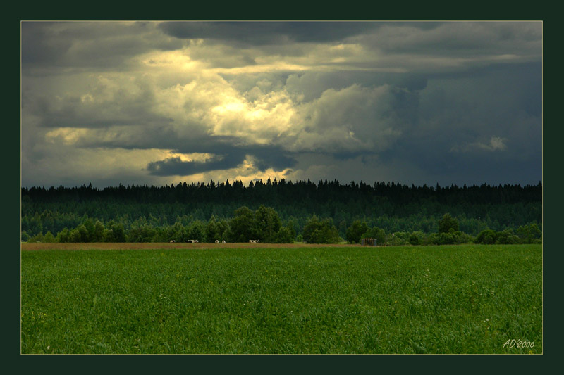 Перед грозой 