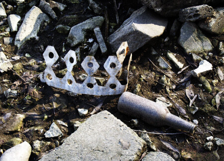 по следам пропавшего короля