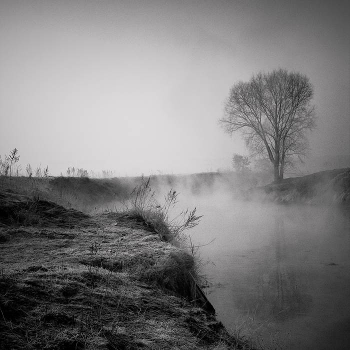 bw #1