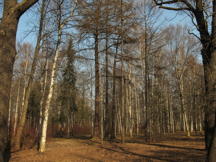 Весенний парк