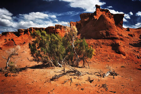 Red Canyon-3
