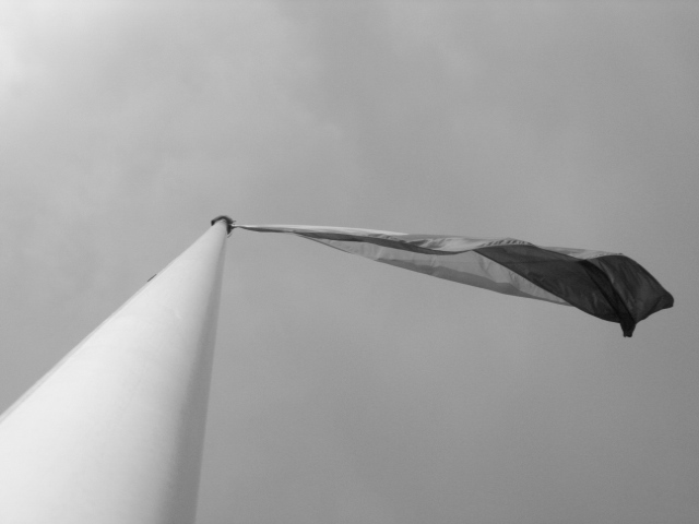 Freedom