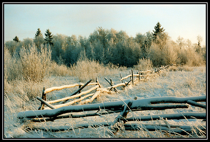Заиндевело