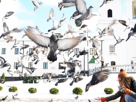 Солнечный день