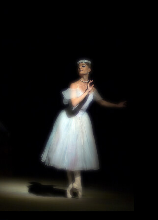 Sylphida #1