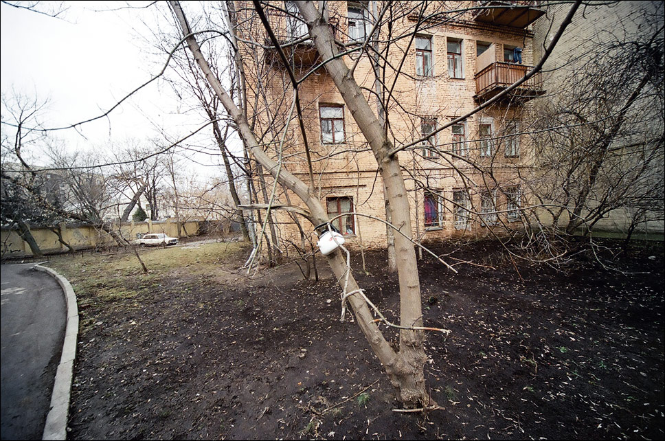 чайник 