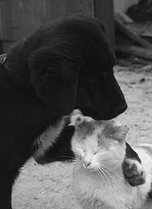 Love is everywere...