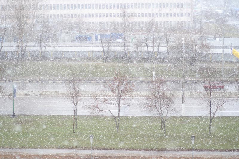Сегодня в Москве