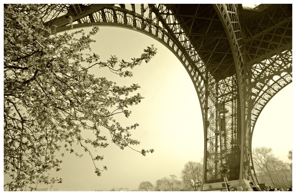 Paris Motive