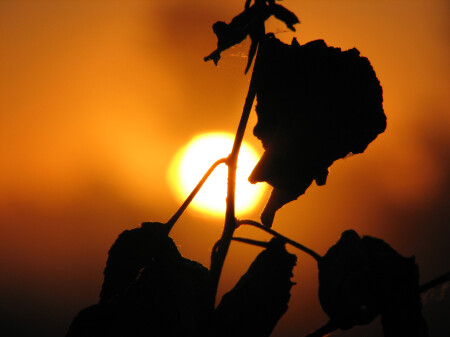 Каждый день по-новому