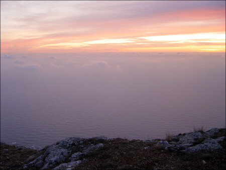 закат розовый