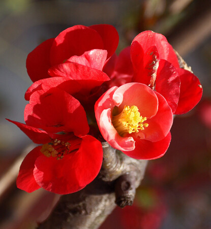 spring tunes#2